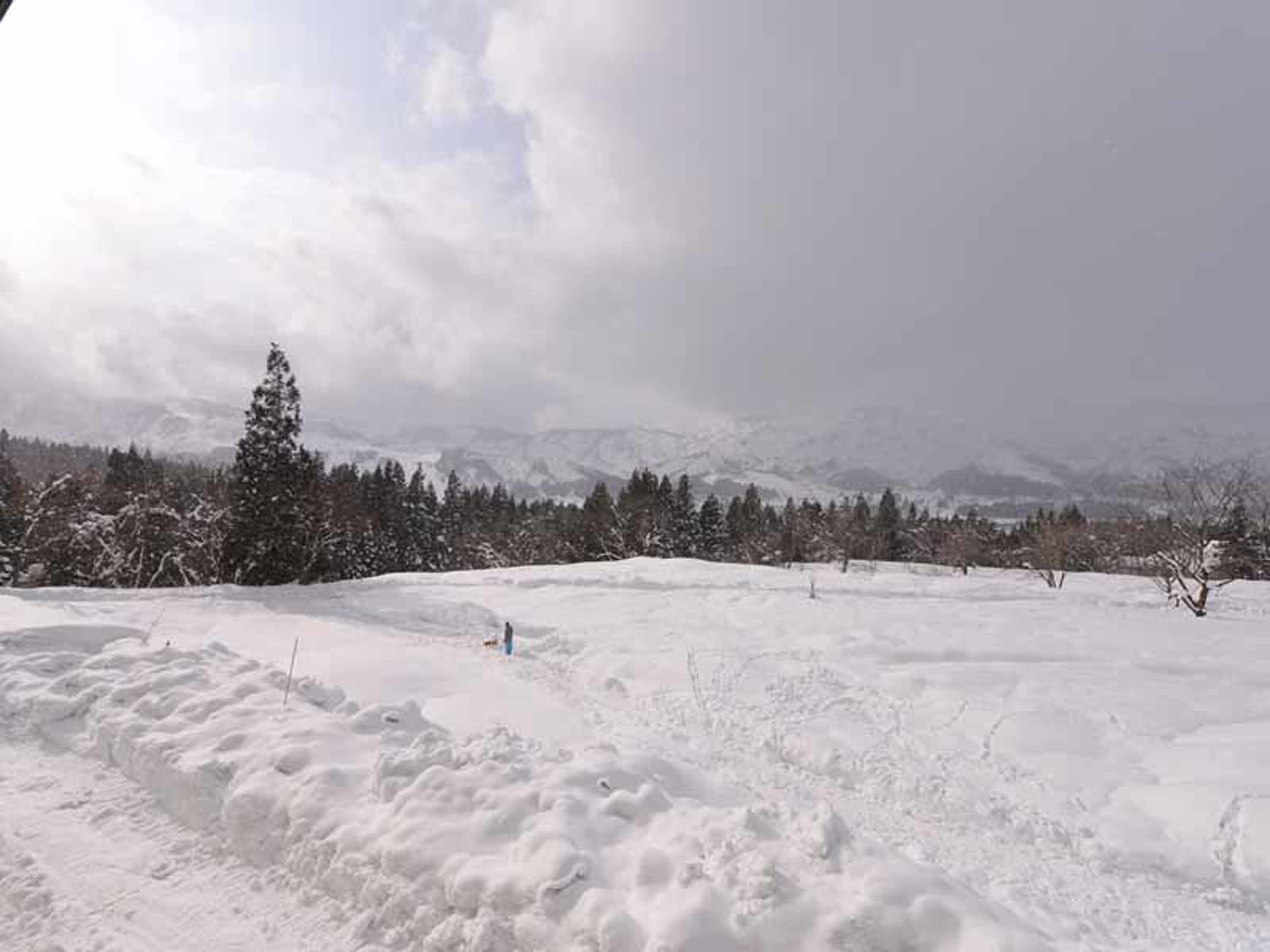A snowy landscape with a clear sky and distant mountains.