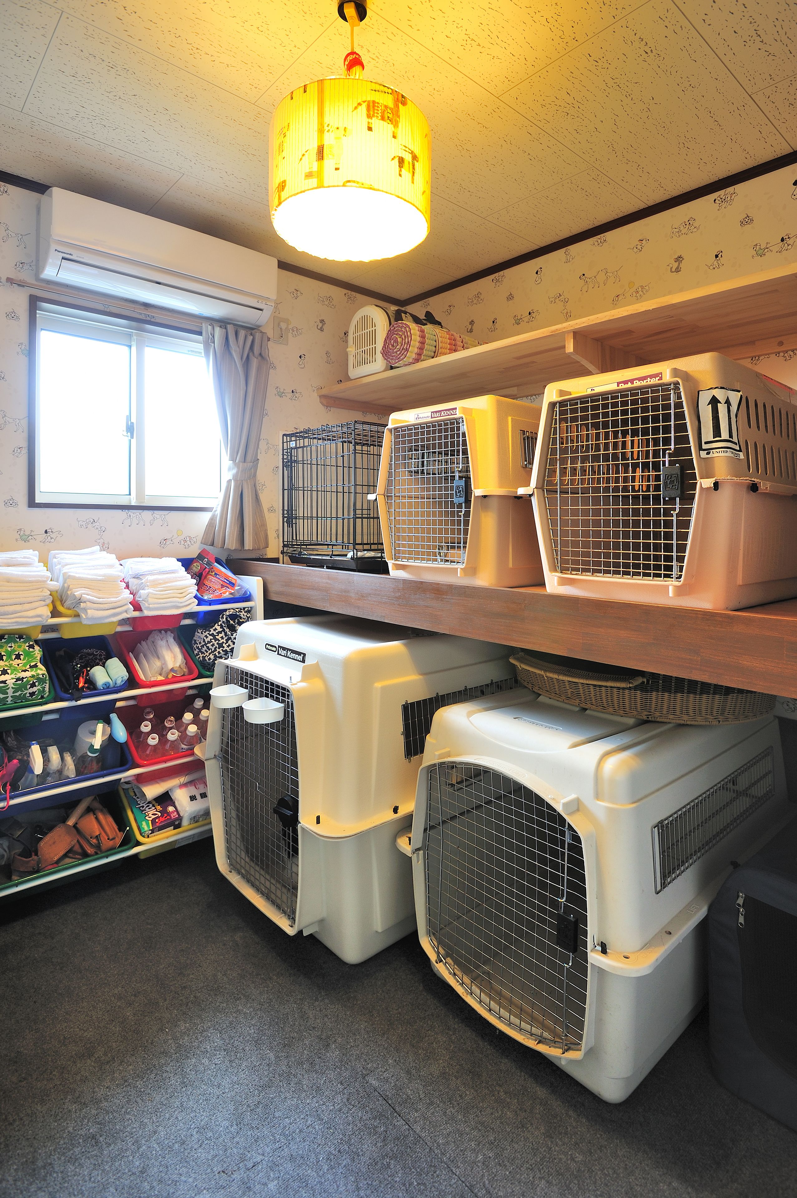 Espaço para cuidados com animais de estimação, com várias caixas de transporte, uma janela com cortinas e um lustre.