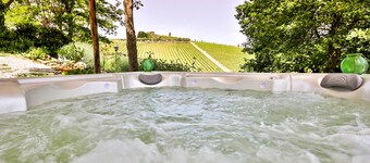 Chianti Villa near Florence: Jacuzzi & Wheelchair Accessible among Vineyards