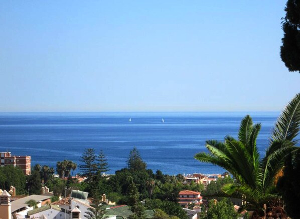 Beach/ocean view