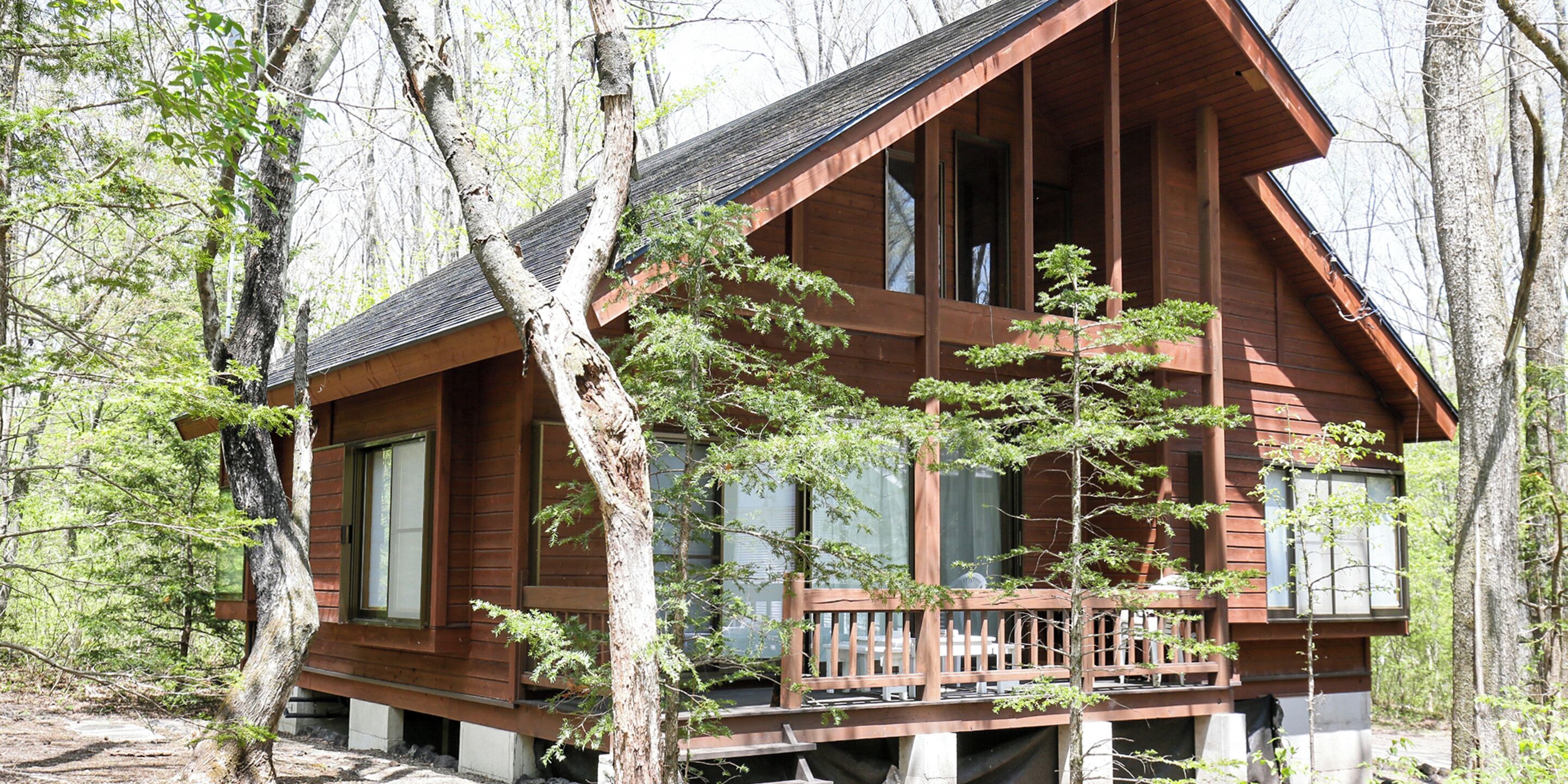 Cubrecamas y ropa de cama 