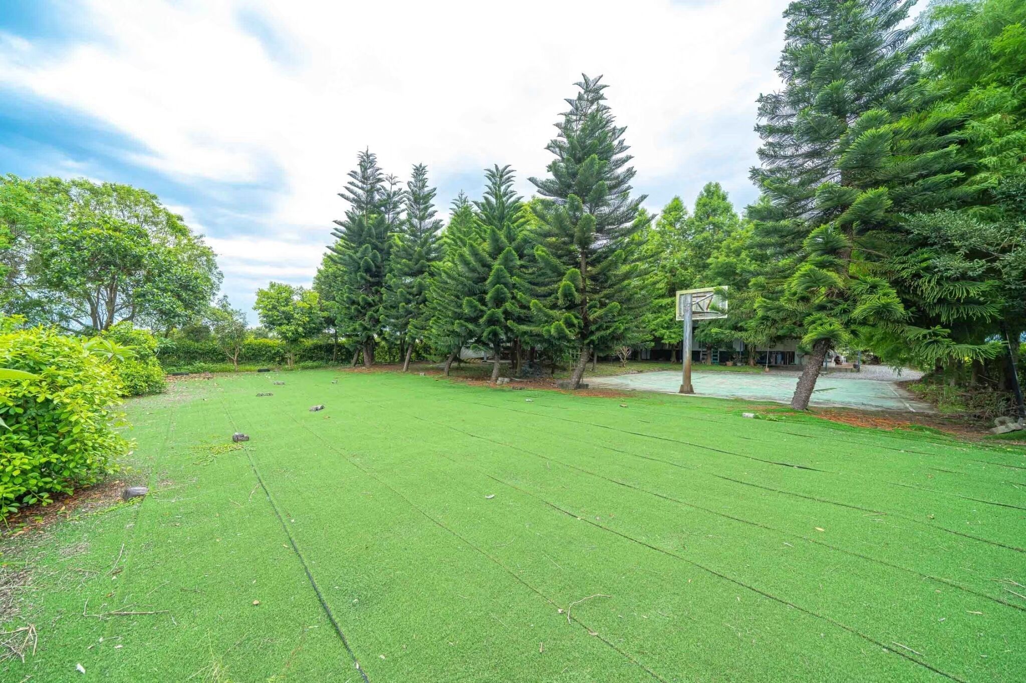 A well-maintained grassy area with trees and a basketball hoop.