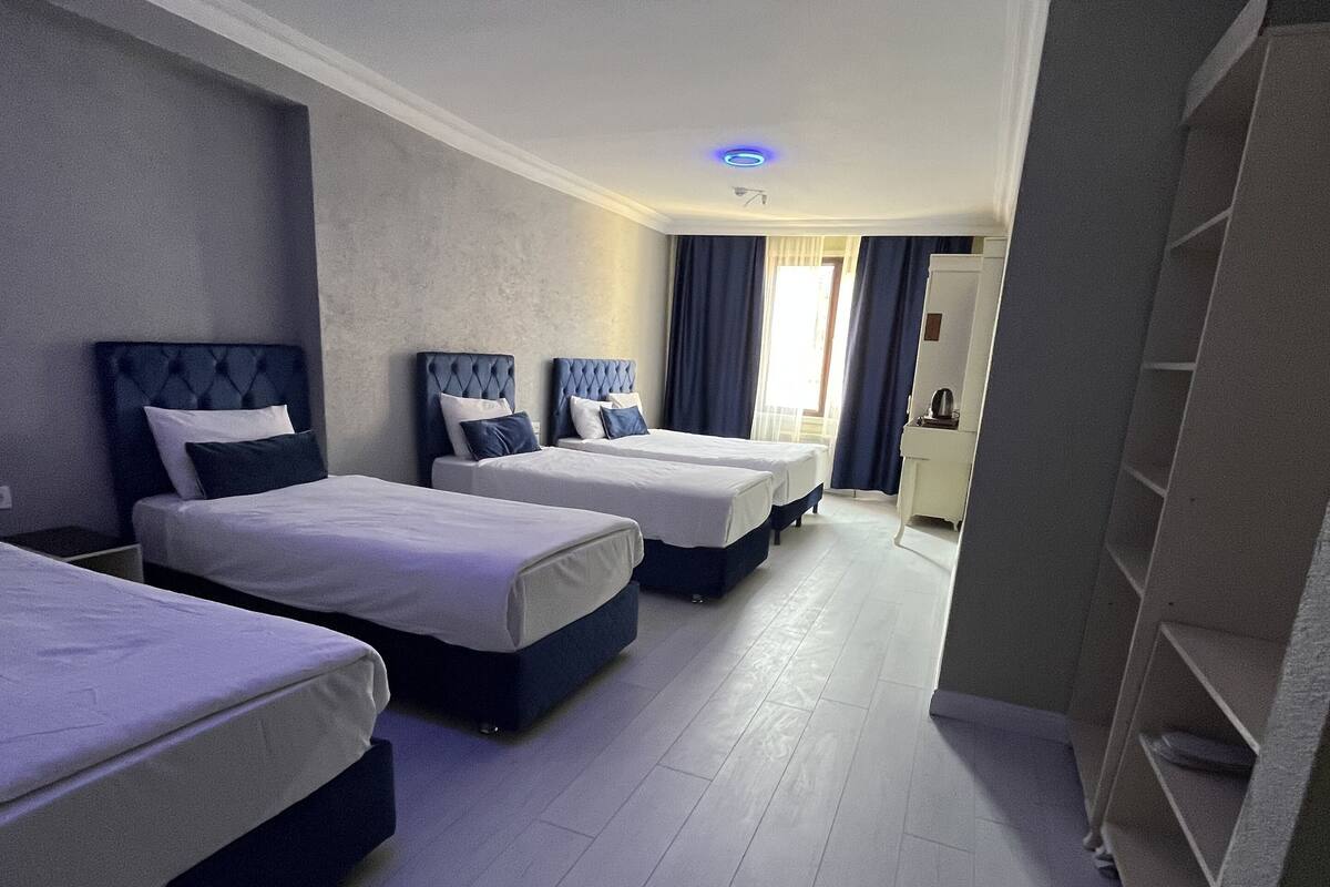 Premium bedding, minibar, desk, iron/ironing board