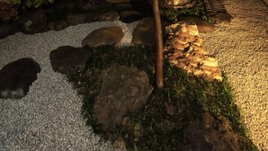 Um jardim japonês tradicional com um caminho de pedras, uma árvore pequena e diversas plantas.