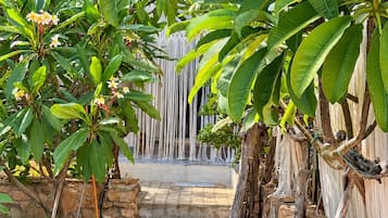 Een pad dat naar een waterval leidt, omgeven door weelderige begroeiing en bananenbomen.