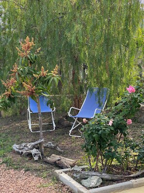 Dos sillones azules en un jardín con follaje denso y una planta pequeña con flores.