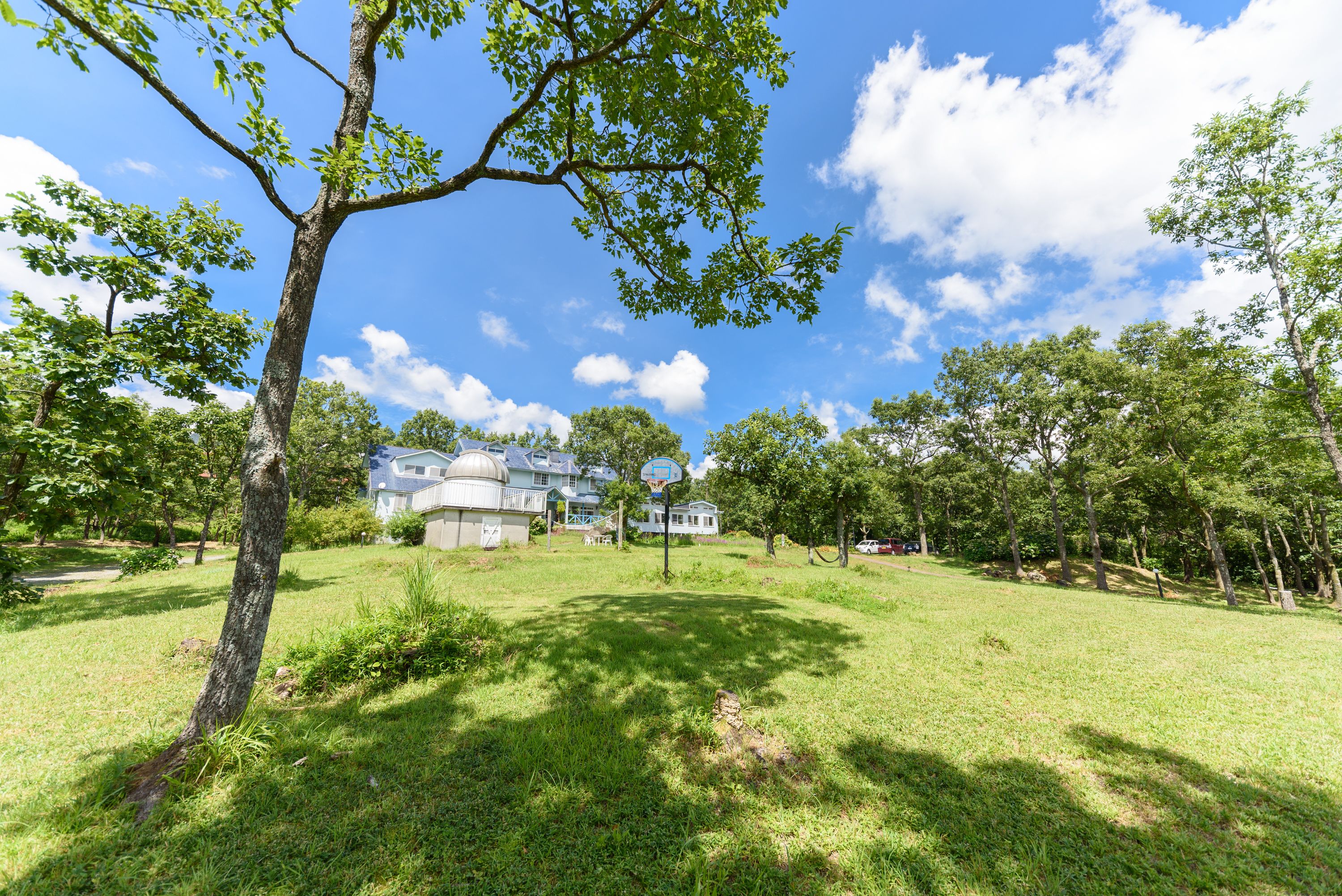 A grassy park area with a basketball court, trees, and a building in the background.
