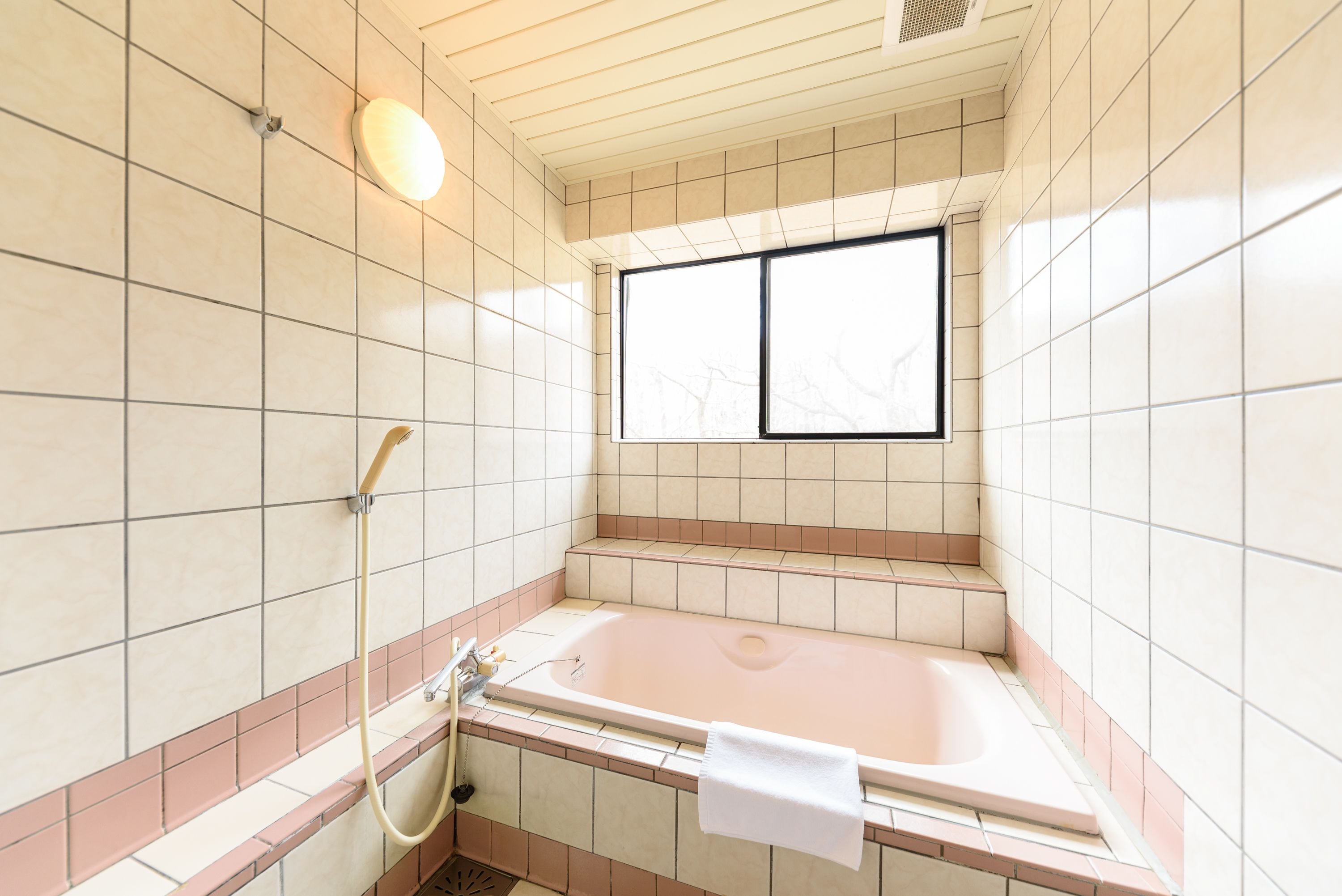 Un baño con bañera, ventana y ducha.