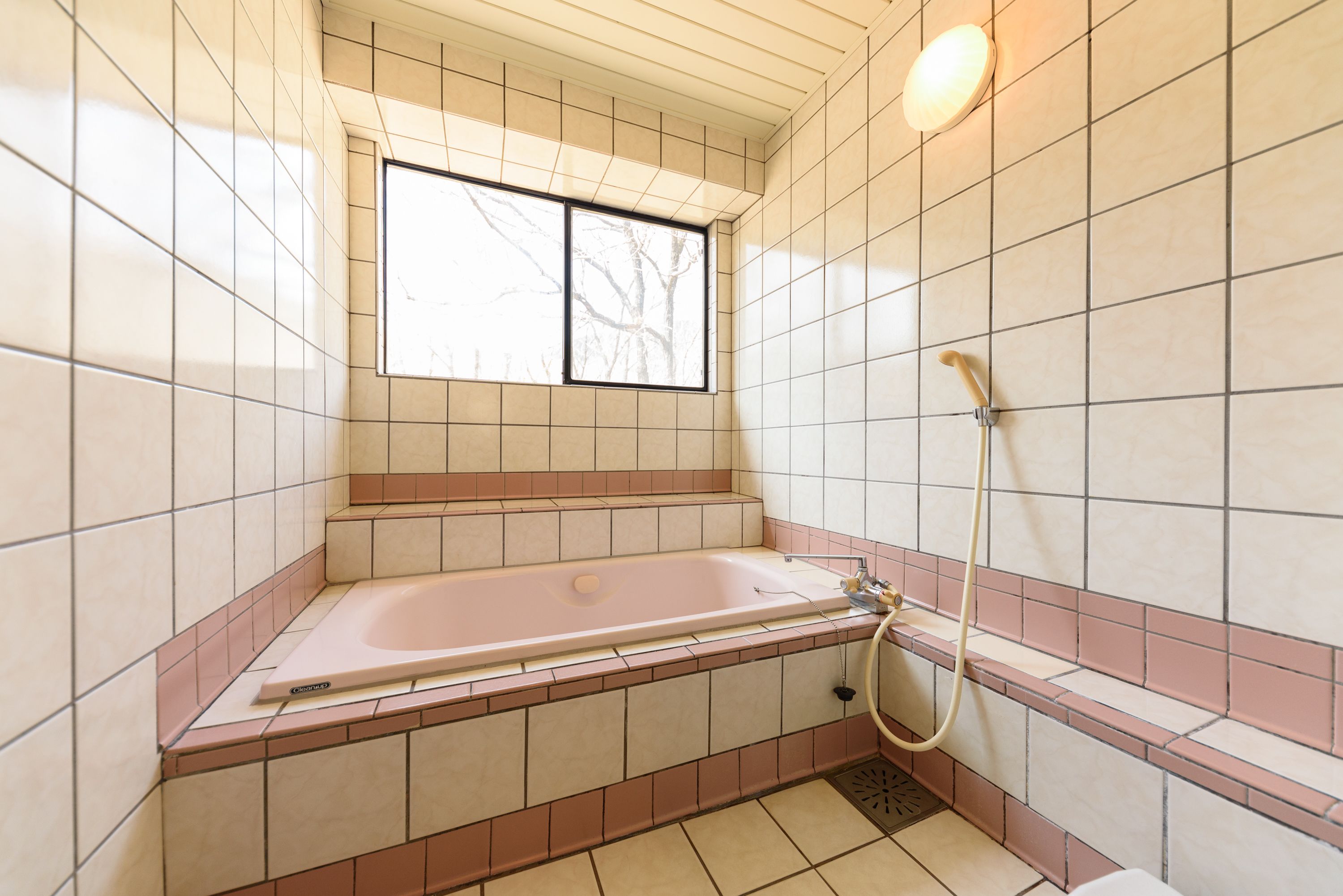 A bathroom with a bathtub, a window, and a shower.