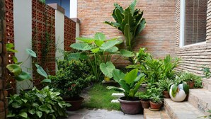 Ein kleiner, umzäunter Gartenbereich mit verschiedenen Kübelpflanzen und einer Ziegelmauer.