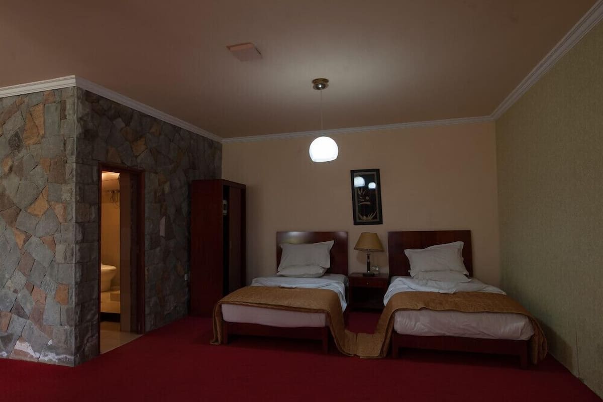 Standard Twin Room, Multiple Beds, Refrigerator & Microwave | 1 bedroom, premium bedding, minibar, in-room safe