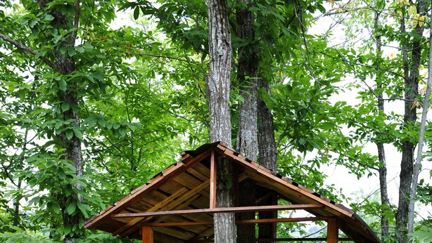 A wooden treehouse with a wooden staircase and a small porch area. - Borgo Caiano Country Inn (Castel San Niccolo)