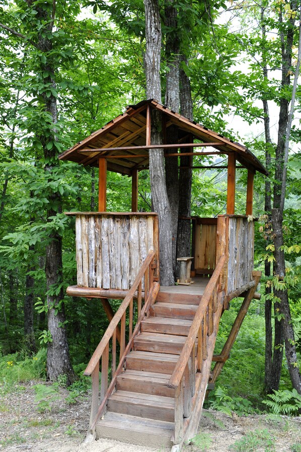 Children’s activities