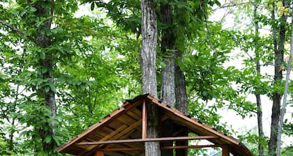 Borgo Caiano Country Inn