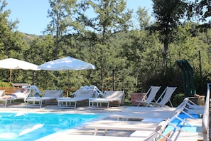 Seasonal outdoor pool, pool umbrellas, pool loungers