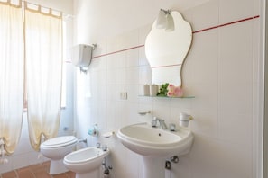 Shower, hair dryer, bidet, towels