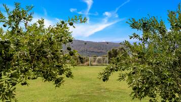 Außenbereich für Bankette