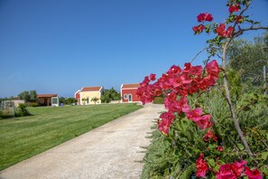 Property grounds - Athousakis Village (Chania)