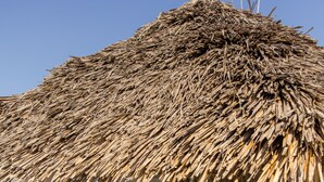 بار على الشاطئ
