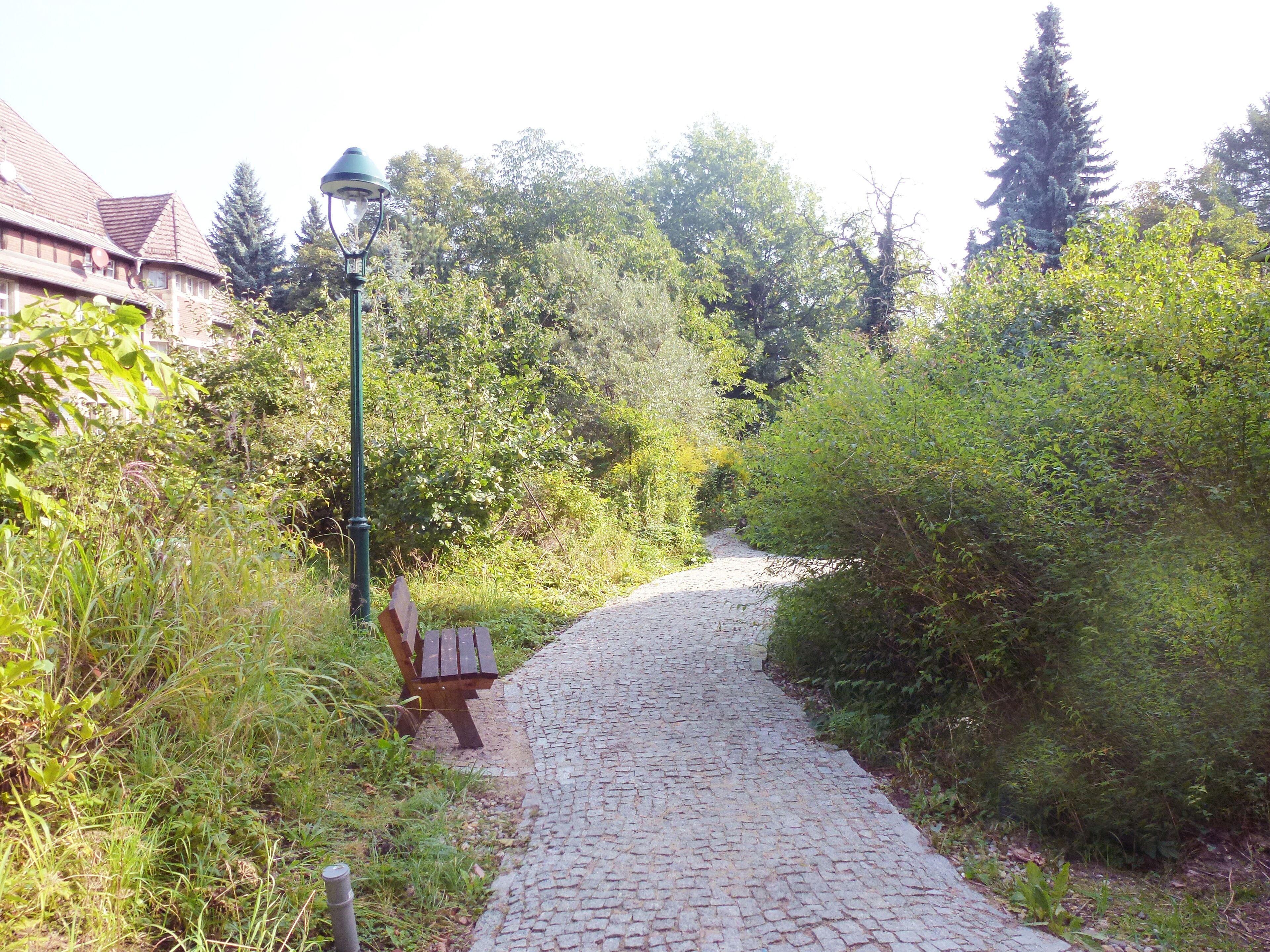 Ein Kopfsteinpflasterweg führt durch einen Garten mit einer Bank und einer Straßenlaterne.
