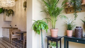 A kitchen with a dining area, a hanging light fixture, and a variety of potted plants. - Casa Maca Guest House Boutique - Adults Only (Barcelona)
