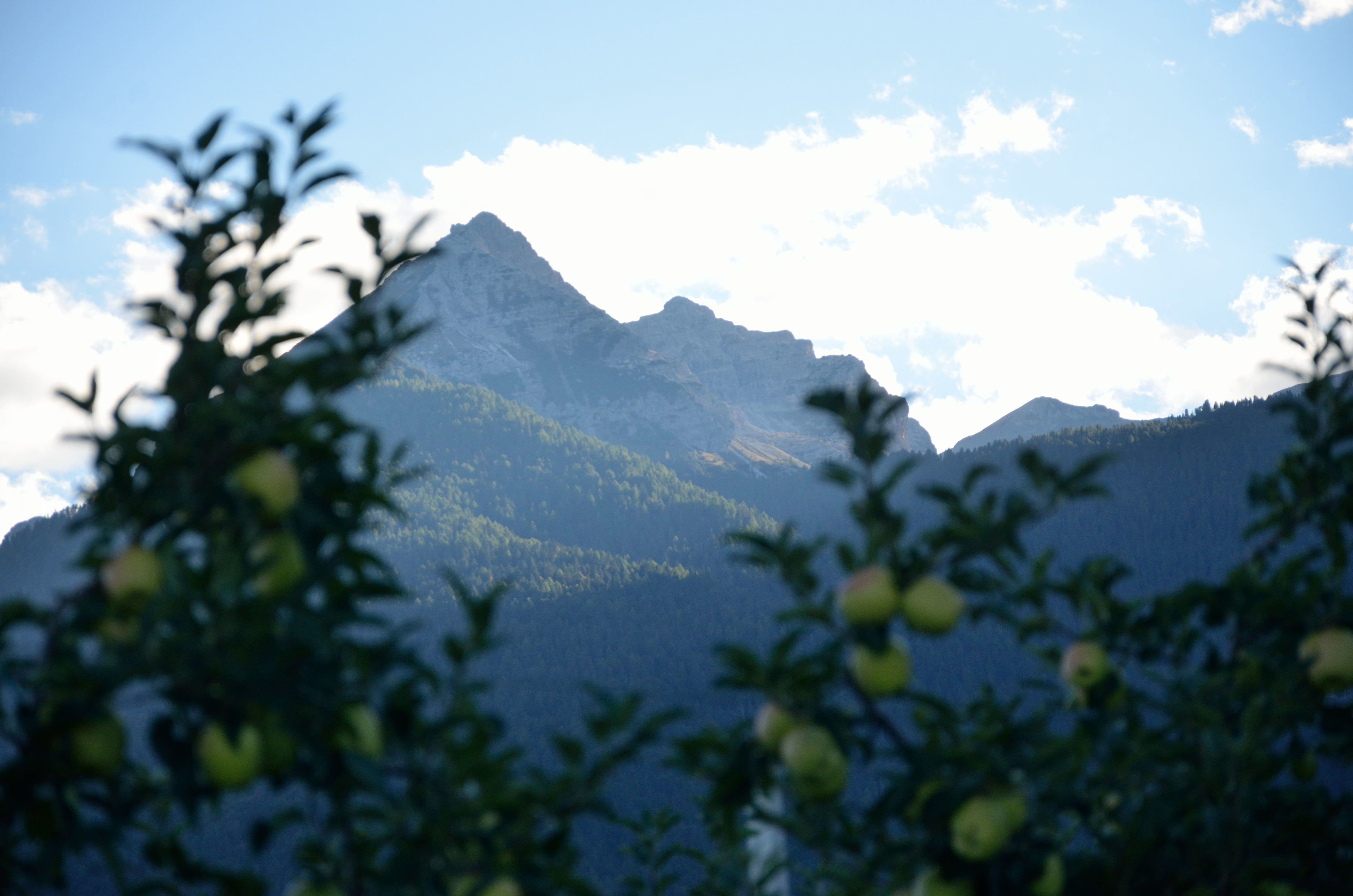 Un paysage de montagne avec un sommet imposant et une forêt environnante.