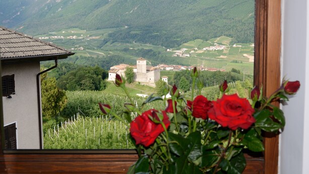 Vista de un valle con una iglesia y casas, y una ventana con rosas rojas.