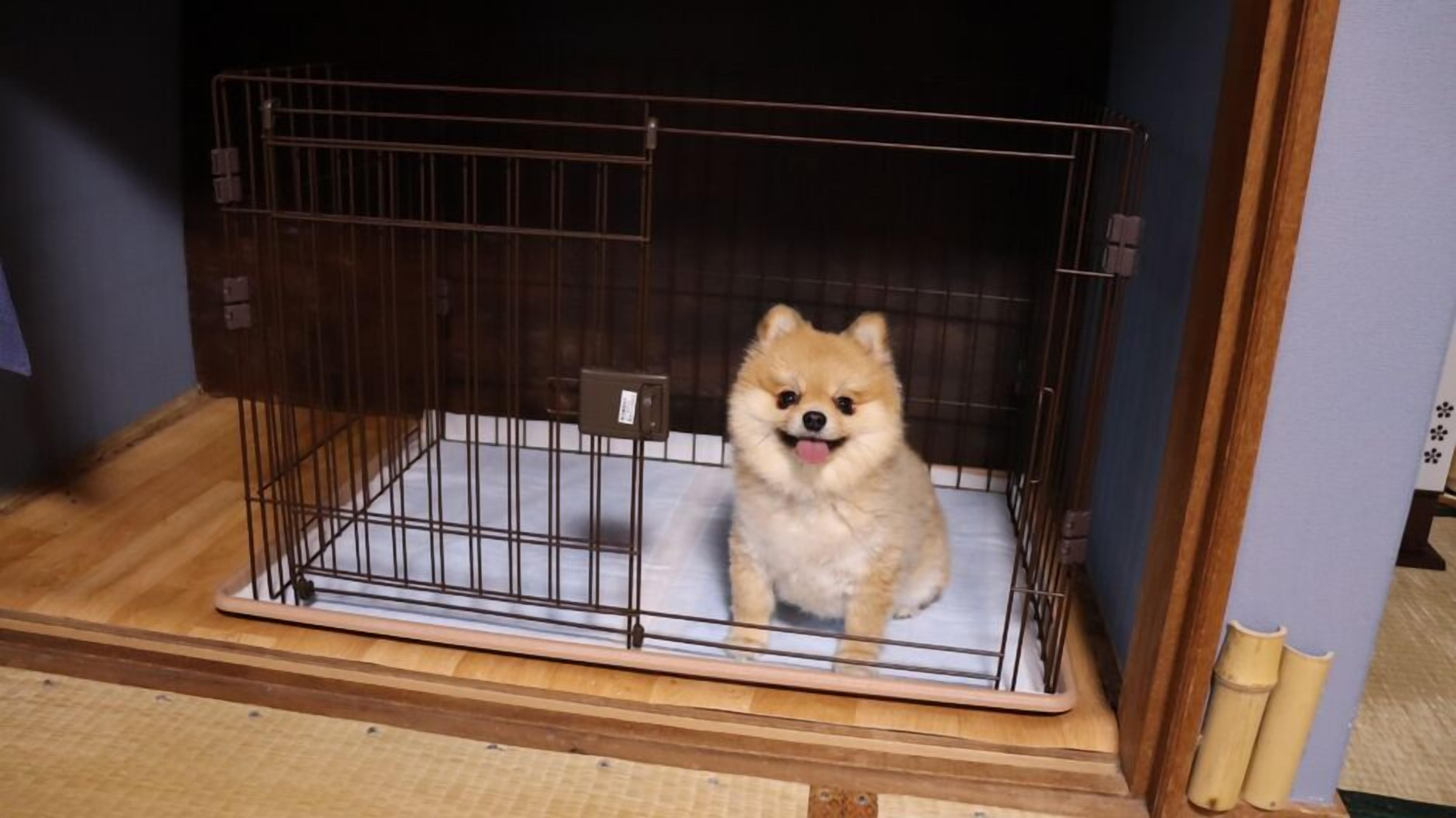 A small, metal dog crate with a white floor, placed on a wooden floor.