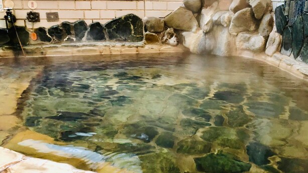 Una piscina cristalina con rocas visibles y un muro de azulejos.