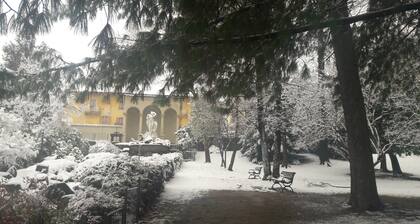 Palazzo Colombino B&B