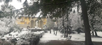 Palazzo Colombino B&B