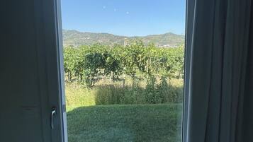 Vista a través de una puerta, cielo despejado y un paisaje con vegetación y colinas.