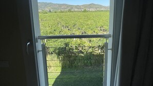 A window with a view of a vineyard and distant hills.