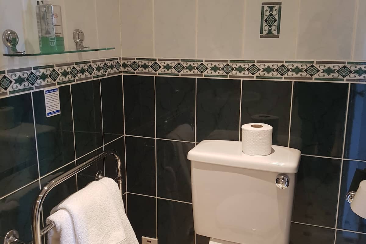 shower, free toiletries, towels