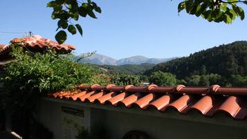 Vue sur les montagnes
