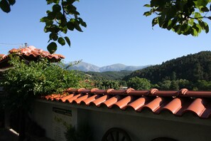 Mountain view - Iliikova House (Karlovo)