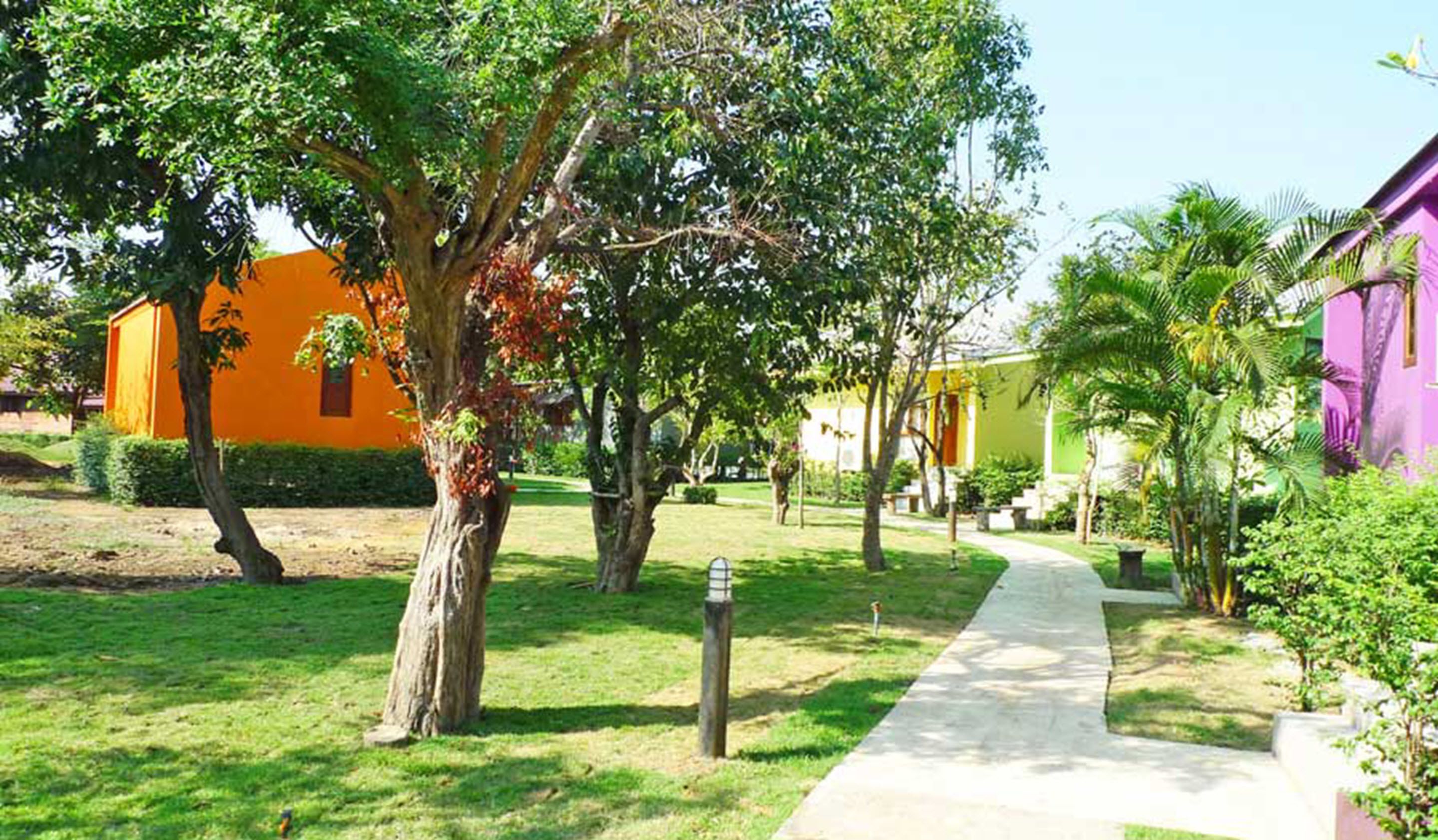 A pathway leading through a garden with trees and a building with orange and purple walls.