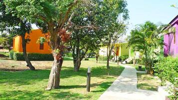 A pathway leading through a garden with trees and a building with orange and purple walls.