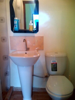 Deluxe Twin Room, Ensuite, Mountain View | Bilik Mandi | Kelengkapan dandanan diri percuma, tuala disediakan 