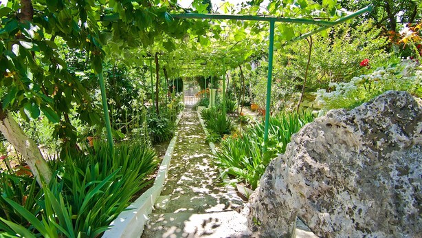 Ein Gartenpfad mit einer Pergola, umgeben von verschiedenen Pflanzen und einem großen Felsen.