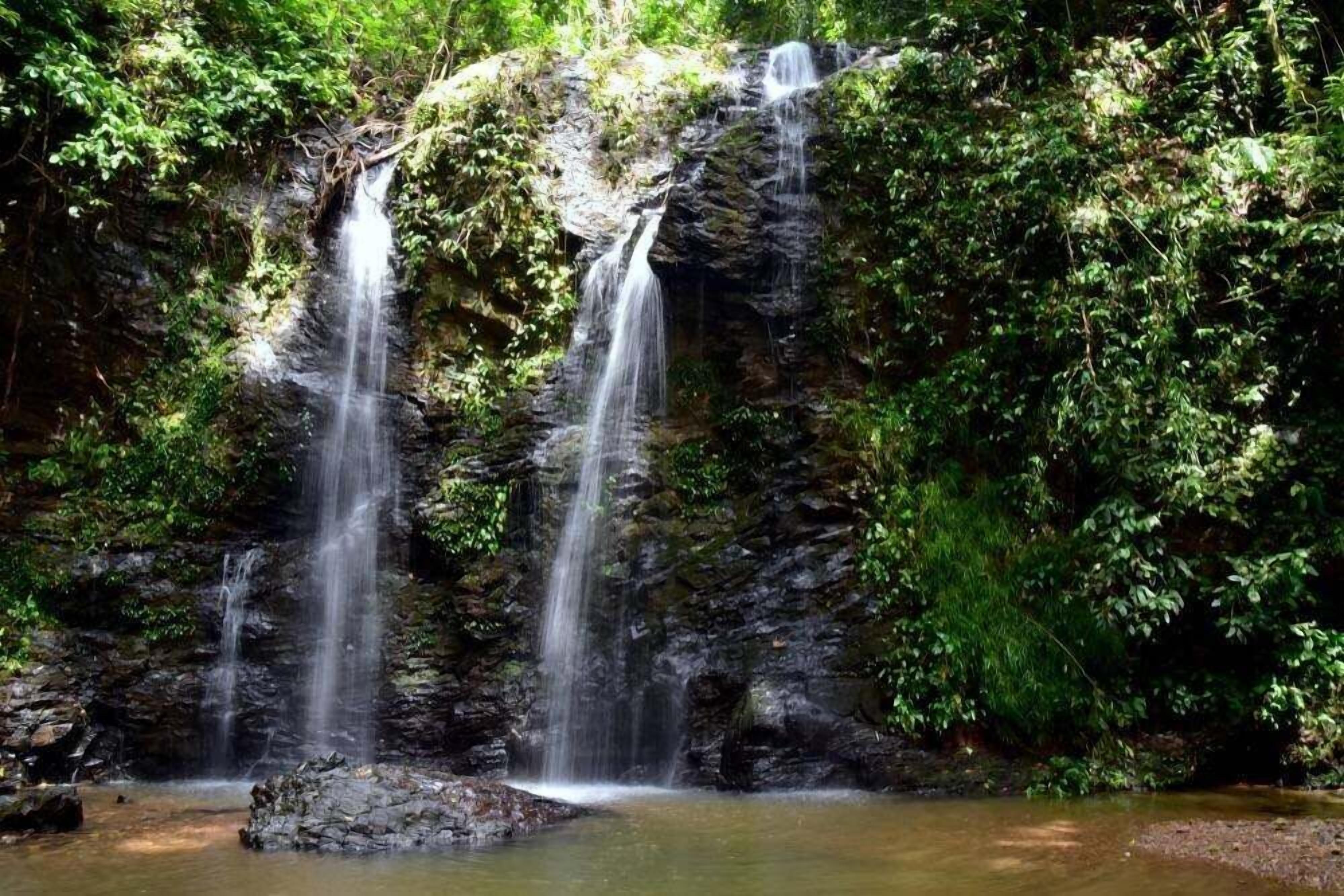 A waterfall cascading over a rocky cliff surrounded by dense greenery.