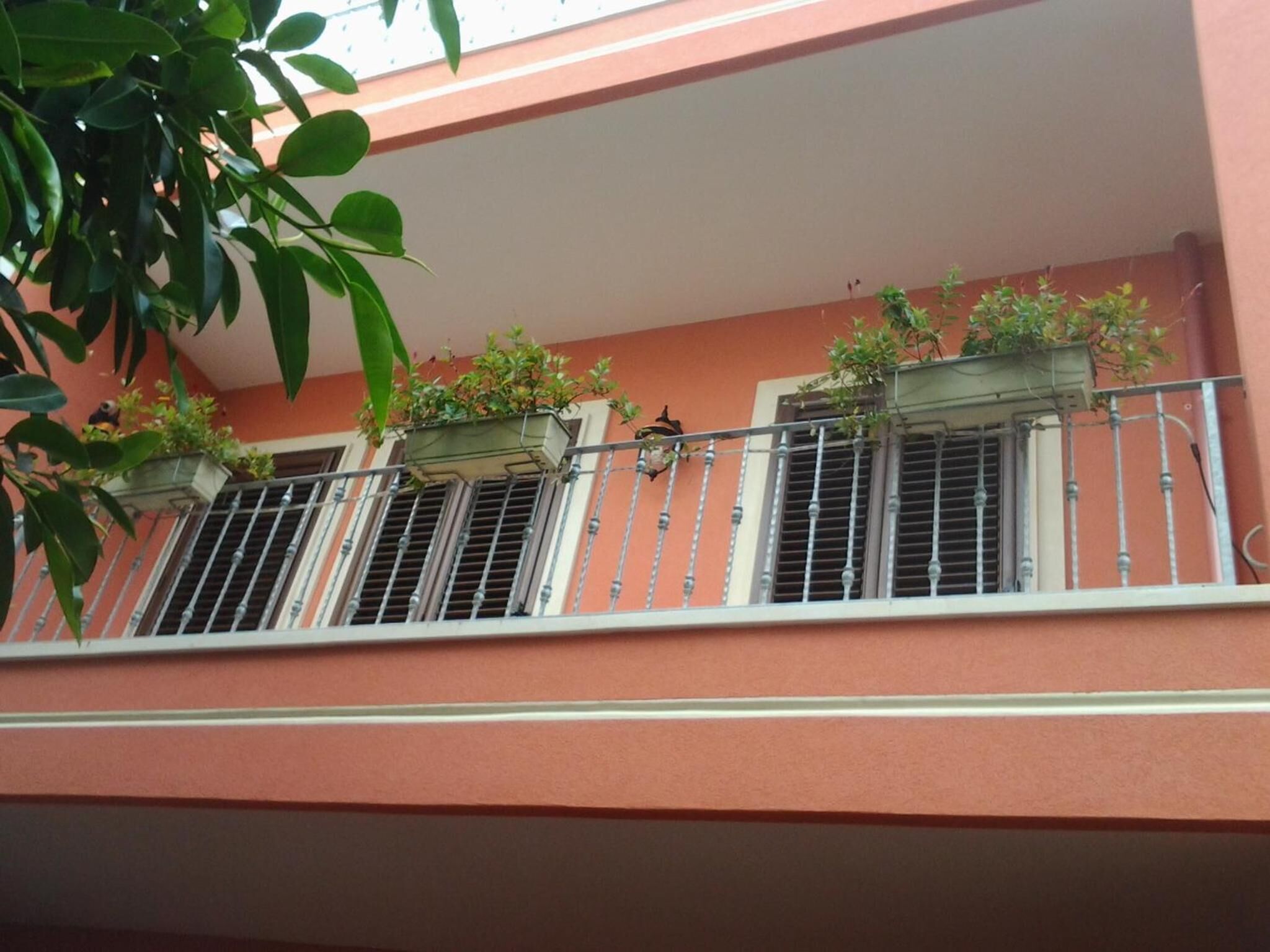 A balcony with three windows, each with a metal grill and potted plants.