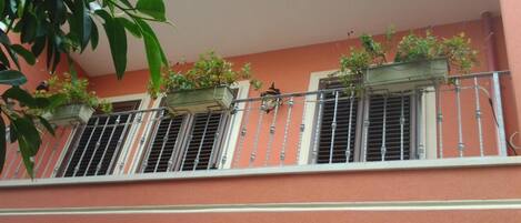 A balcony with three windows, each with a metal grill and potted plants.