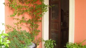 Uma porta com painel de madeira escura e moldura branca, cercada por plantas verdes e uma parede pintada em um tom laranja quente.