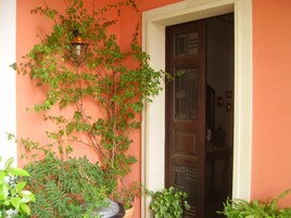 Puerta con panel de madera oscura y un marco blanco, rodeada de plantas verdes y una pared pintada de naranja cálido.