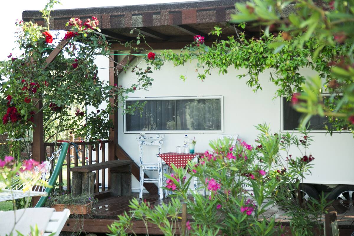 A rustic cabin with a wooden deck, a dining area with a red and white tablecloth, and a garden with various plants and flowers.