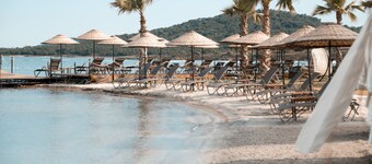 Cunda Fora Glamping