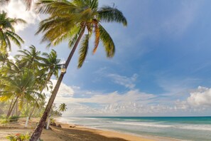 On the beach, white sand, sun loungers, snorkeling - Maranata Villa (Las Terrenas)