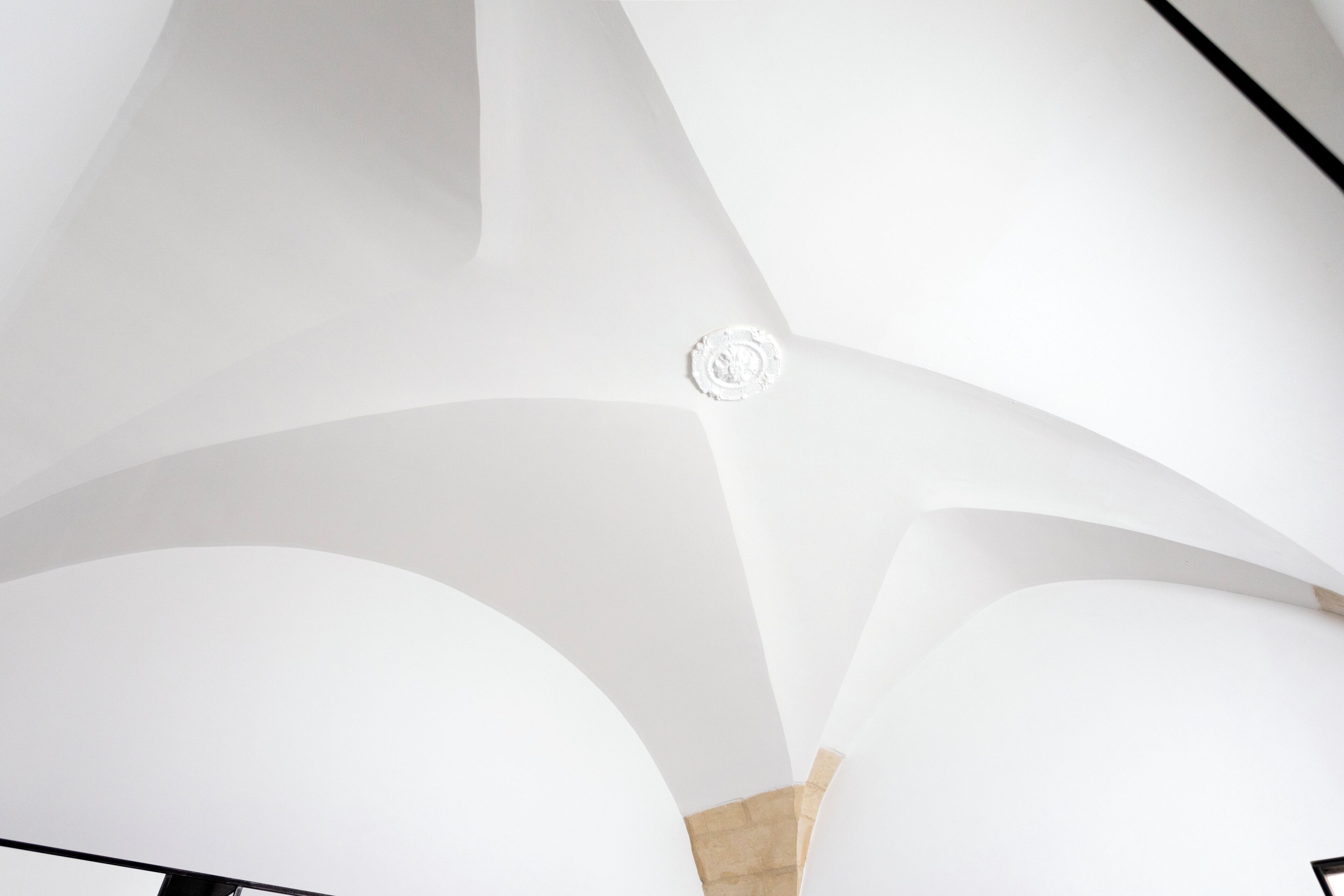 A modern interior with curved white walls and a central decorative element.
