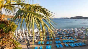A beach with rows of blue lounge chairs and white umbrellas, palm trees, and a view of the sea and hills in the background. - Gumbet Anil Beach (Bodrum)